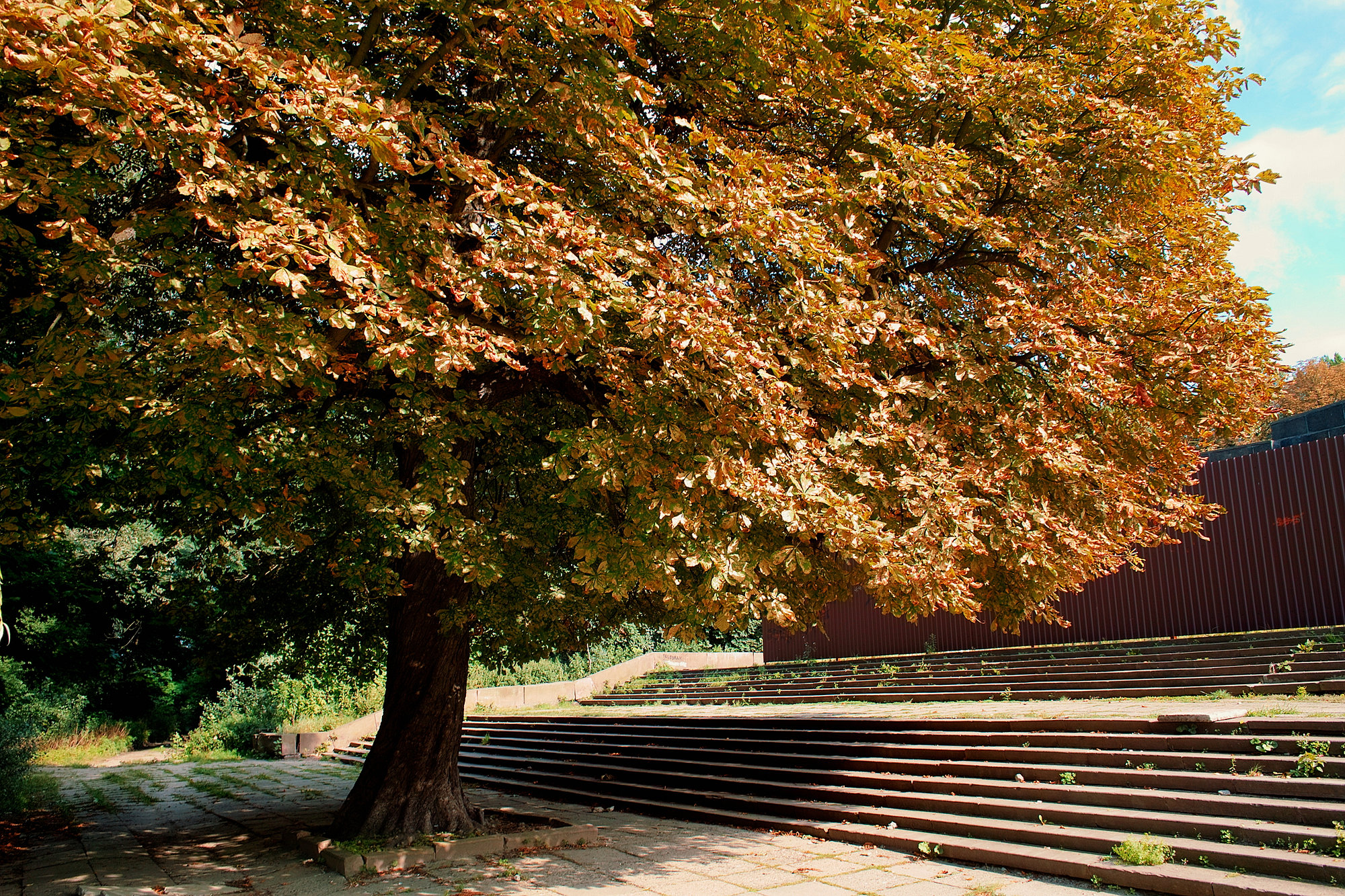 Sigma Foveon, photo 7 of 22